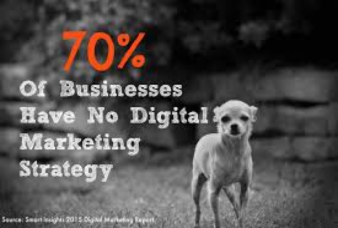 provide Digital Marketing Strategy for your Business or Work