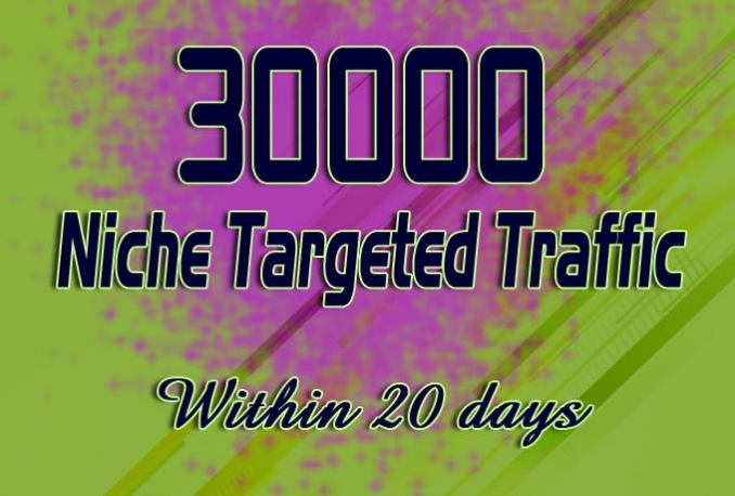 drive unlimited Niche targeted website, traffic, visitors for 20 days