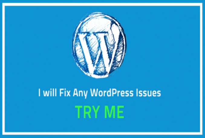 fix wordpress issues or wordpress errors in 24 hrs