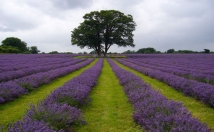 give address of this location for film shooting