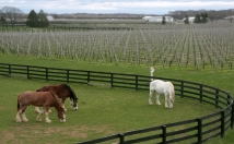 give address of this location for film shooting