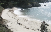 give address of this location for film shooting