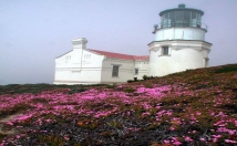 give address of this location for film shooting