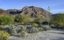 give address of this location for film shooting