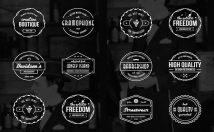  design an awesome Vintage or Retro LOGO