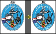 vectorise your logo professionally
