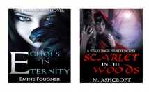 design a PROFESSIONAL eBook cover