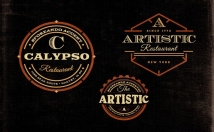make vintage retro logo