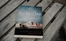 create 3D book cover mockups