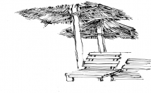 create a hand drawn illustration