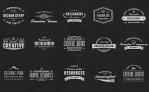 design Vintage Retro LOGO with professional typography