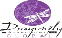 trace and vectorize your logo to Vector