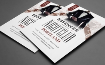 design an amazing Flyer and Brochure