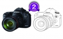 do detailed line art of anything you provided