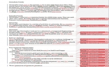 proofread and edit up to 500 words in English