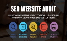 do professional SEO Website Audit and write an action plan