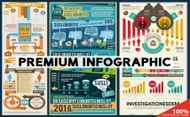 create an unique infographic