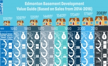 create a professionally designed Infographic
