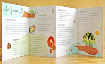 design eye catching Flyer,Brochure,Poster,Postcard