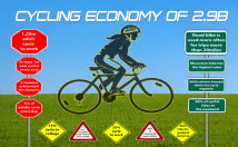 design a professional infographic