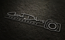 design 3 luxury classic professional Signature LOGO