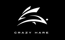 do BRANDING and logo for your business
