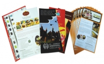 design attractive flyer or Poster