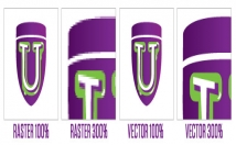 vectorize logo in 24 hours