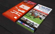 do MAGNIFICENT Flyer Design