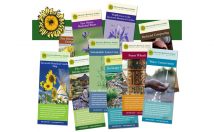 design custom made Flyer, Brochure or Poster