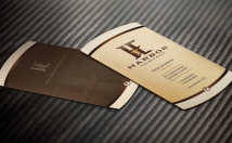 design a FULLY custom and professional Business Card