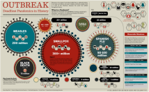 design infographics and presentation elements