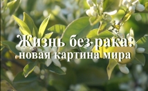 add subtitles in Russian or English to your video