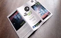 awesome flyer and Brochure design