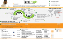 create extreme resume in Infographic style