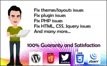 fix your html, css, jquery, wordpress issues