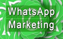 provide Bulk WhatsApp SMS Sending + Filtering Software