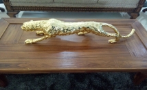 give this Jaguar on rent