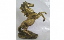 give this horse on rent 
