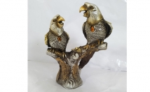 give this beautiful  parrots on rent