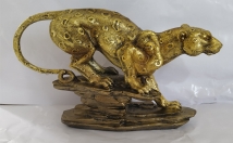 give this jaguar on rent 