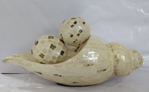 give this cone on rent