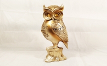 give this owl on rent