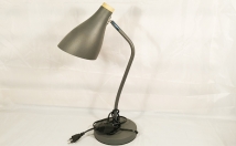 give this study lamp on rent