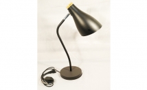 give this study and table lamp