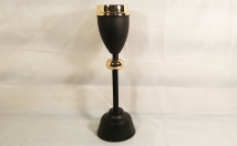 give this beautiful candle holder on rent