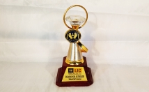 give this trophy with diamond on rent