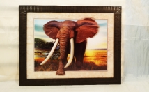 give this 3D elephant frame on rent