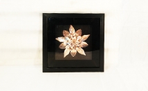 give this flower wall frame on rent