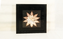 give this wall frame on rent 